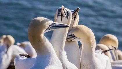 江山最新的高价找中介取公积金违法吗方法分享(江山中介取公积金怎么收费教程)