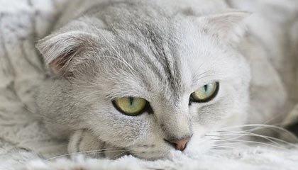 江山最新的高价医保卡惠民保险代扣怎么取消掉了方法分享(江山惠民医保怎么报销教程)