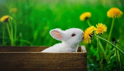 江山最新的高价医保卡惠民保险代扣怎么取消掉了方法分享(江山惠民医保怎么报销教程)